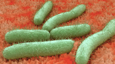 Superbug Infection Risk Limited to Highly Specialized Equipment Used in Only in Hospitals