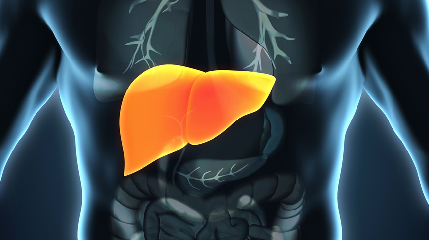 Fatty Liver: The Silent Epidemic - Gastroenterologist San Antonio