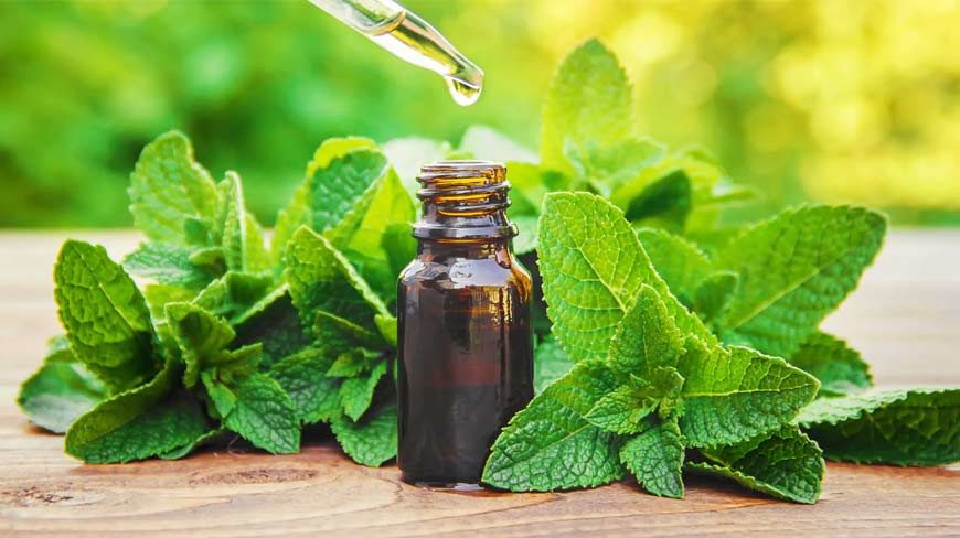 A Natural Remedy For Irritable Bowel Syndrome Peppermint Oil 