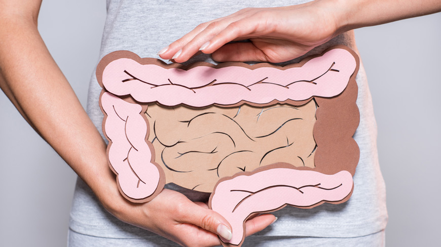 What Does the Large Intestine Do? Gastro FAQ